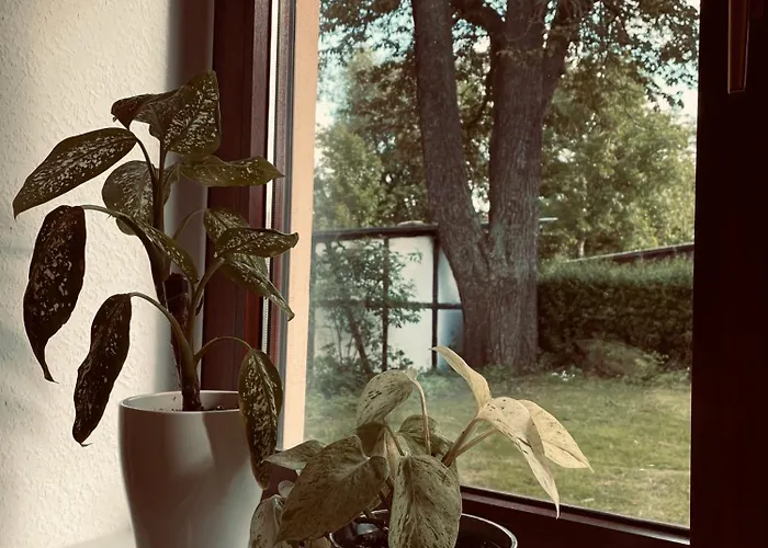 Am Anger Apartmán Alkersleben